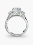 Three-Stone with Pavé Band 2